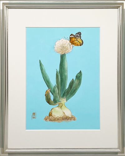 玉葱の花と豹紋蝶