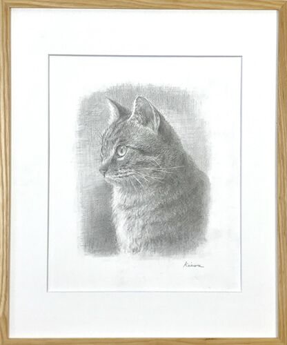 猫の鉛筆画