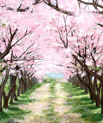 花道-桜-