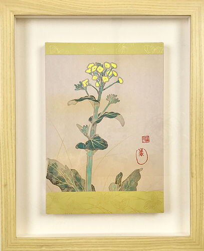 小松菜の花