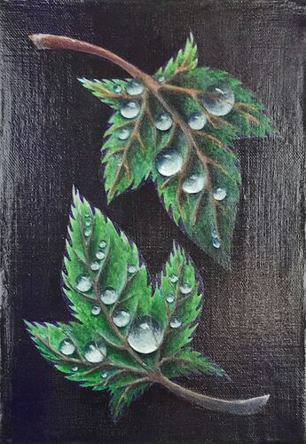2 leaves and drops