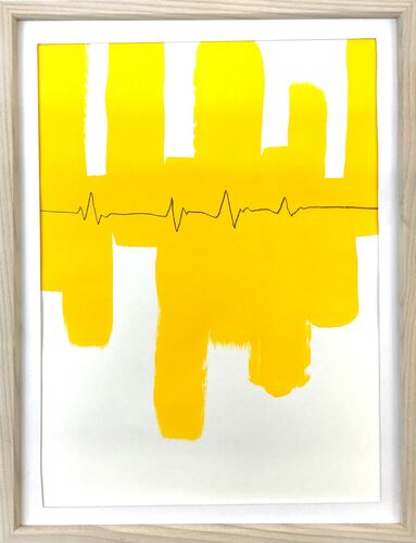 Heart rate monitor(yellow)